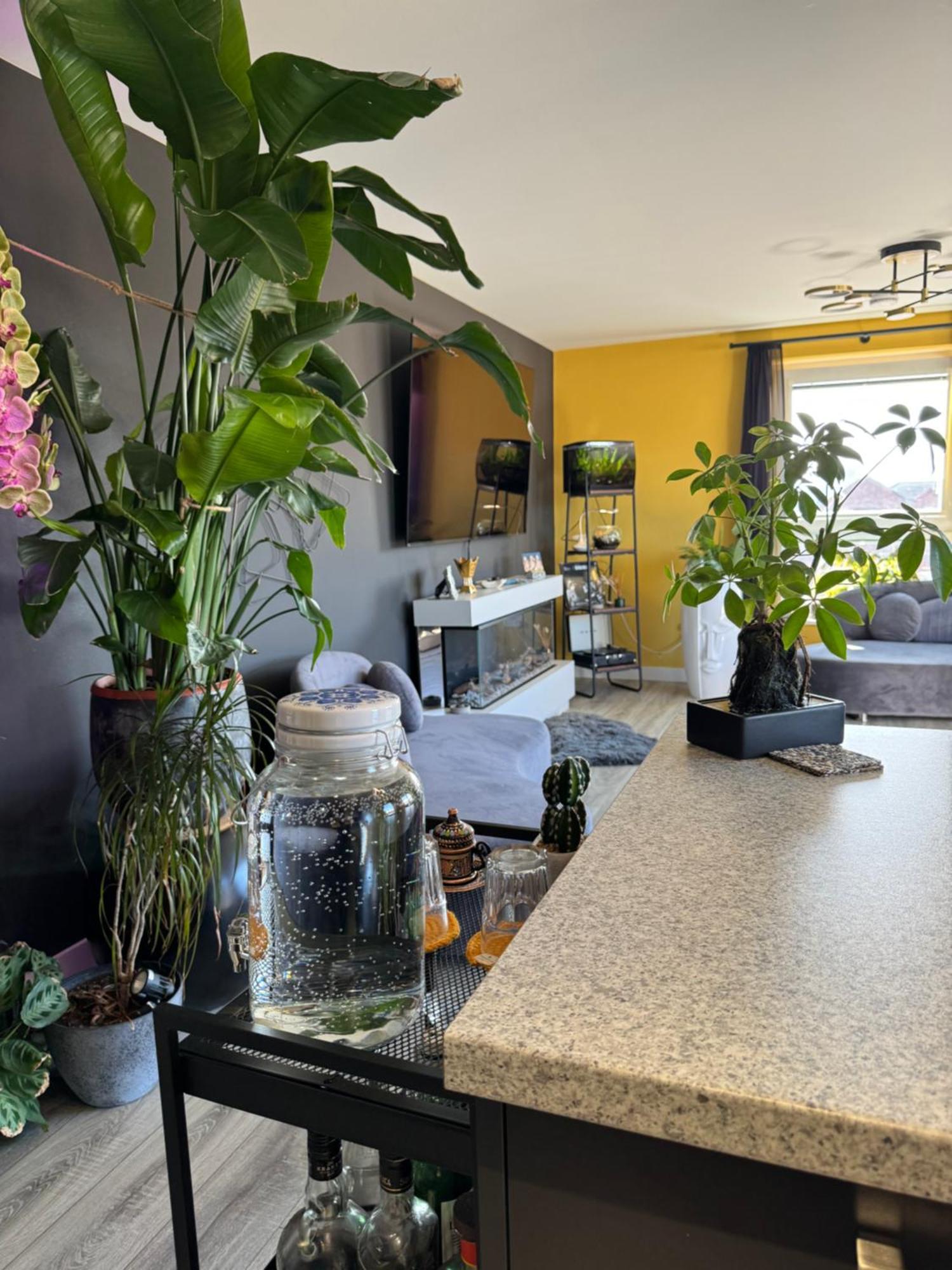Homestay Private Cozy & Stylish In A Shared Flat In *